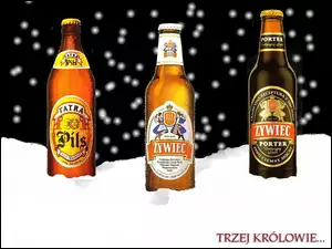 butelki, Piwo, Piwo Żywiec