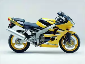 Kawasaki ZX-6R