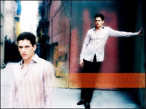 biała koszula, Wentworth Miller