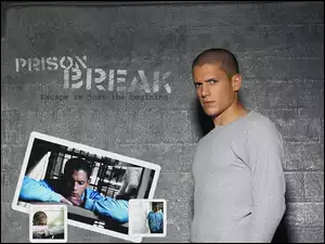 Wentworth Miller, szara bluzka
