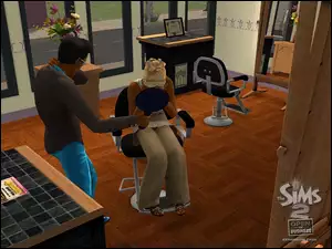 The Sims 2, Open Business