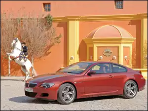 BMW 6, Biały Koń