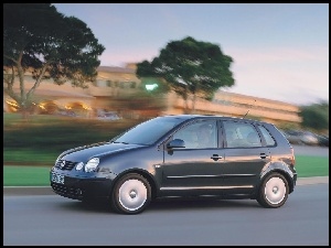 Polo, Szare