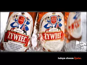 butelki, Piwo, Piwo Żywiec