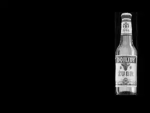 Dojlidy, Żubr