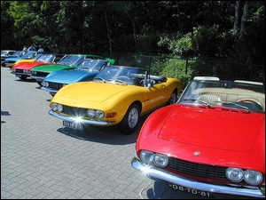 Fiat Dino, Zlot, Miłośników