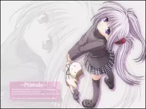 maskotka, Shuffle, Primula