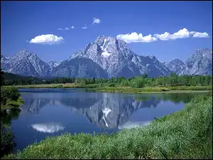 Jezioro, Góry, Krzew