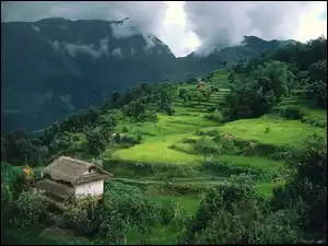 Azja, Krajobraz