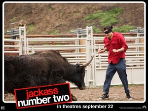 mężczyzna, Jackass Number Two, byk