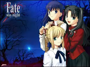 las, Fate Stay Night, dziewczyny