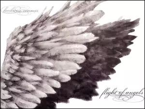 Haibane Renmei, skrzydła