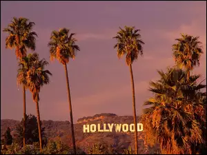 Palmy, Kalifornia, Hollywood
