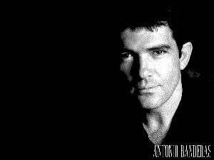 włosy, Antonio Banderas, czarne