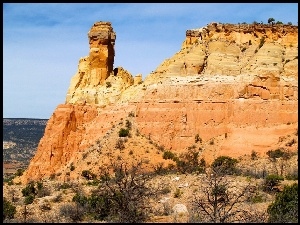 Góry, Krzaki