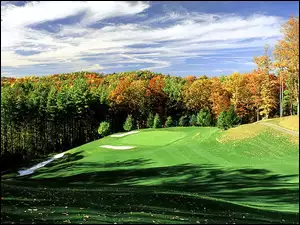 pole golfowe, Sportowe Golf, drzewa