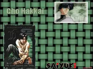 Saiyuki, hakkai, plecionka, postacie