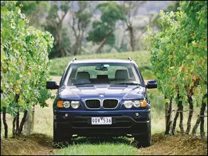 Bmw X5, Przód