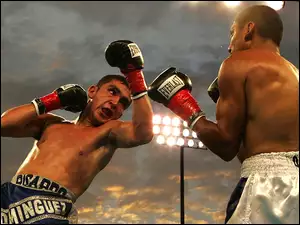 Bokserzy, Domingues vs Ortiz