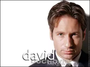 krawat, David Duchovny, koszula