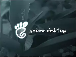 stopa, liście, Gnome