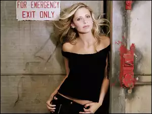 Sarah Michelle Gellar