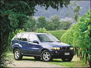 Granatowy, Bmw X5