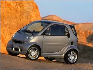 Szary, Smart Fortwo