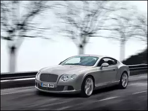 Samochód, Bentley Continental GT, Sportowy