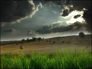 Polu, Siano, Na
