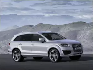 Alufelgi, Audi Q7, Chromowane