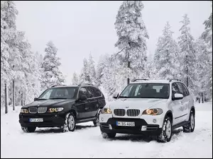 BMW E53 vs E70