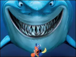 Gdzie, Rekin, Jest, Nemo
