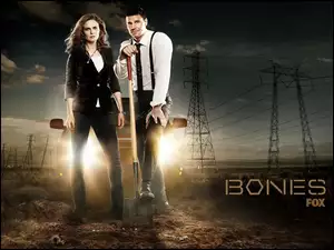 Kości, David Boreanaz, Bones, Serial, Emily Deschanel