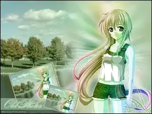 zdjęcia, Cg Art, park, drzewa, spodenki