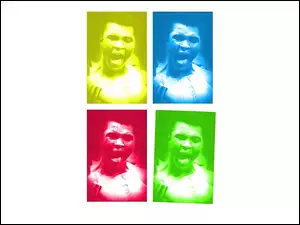 Boks, bokser