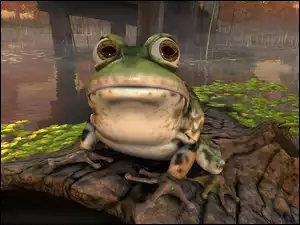 Nvidia, żaba