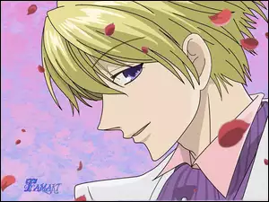 Ouran High School Host Club, facet
