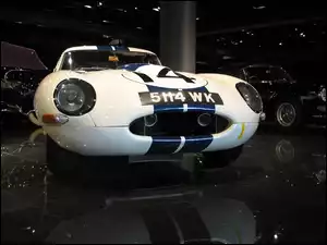 światła, Jaguar , zderzak