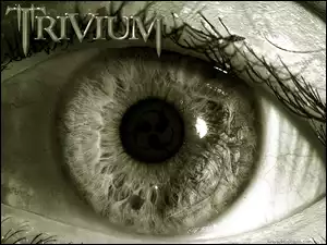 Trivium, oko