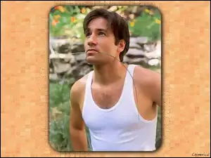 David Duchovny, biała koszulka