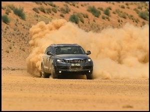 Pustynia, Audi Q7