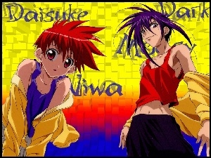 niwa, ludzie, Daisuke, D N Angel, koszulka, Dark, postacie