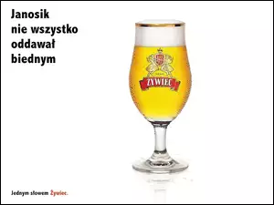 piana, Piwo, Piwo Żywiec