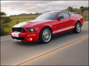 Alufelgi, Shelby, Ford Mustang