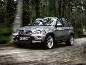 Las, Bmw X5, E70