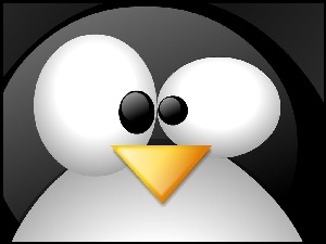 grafika, Linux, pingwin