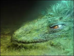 Dinozaur, Kamuflaż