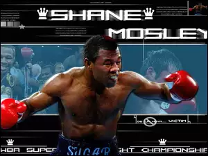 Boks, Shane Mosley