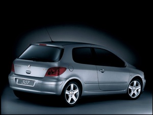 Peugeot 307, Sport